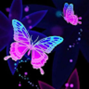 Meet your Posher, Orlena